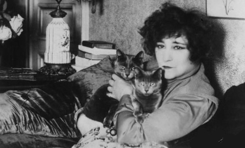 Did Colette the french famous writer loved cats?